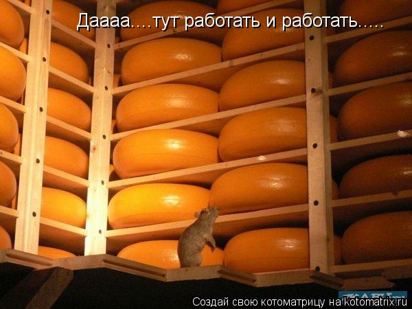 Даааа....тут работать и работать........ Котоматрица: Даааа....тут работать и работать.....