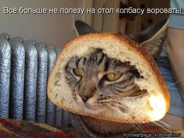 Котоматрица: Всё больше не полезу на стол колбасу воровать!