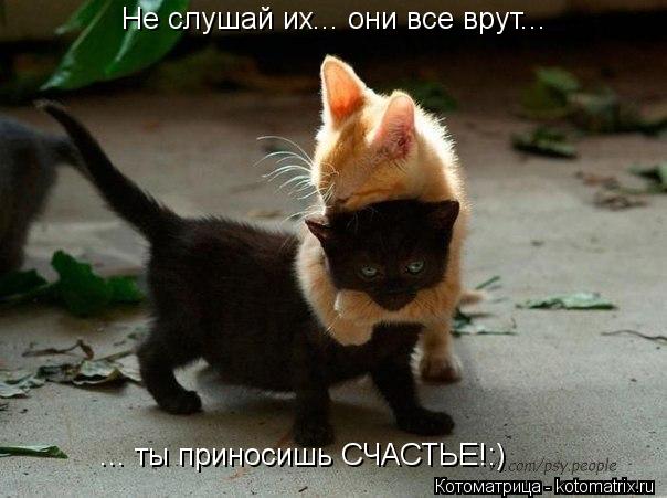 Не слушай их... они все врут... ... ты приносишь СЧАСТЬЕ!:)... Котоматрица: Не слушай их... они все врут... ... ты приносишь СЧАСТЬЕ!:)
