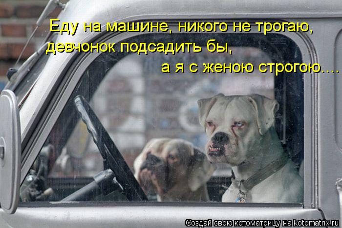 http://kotomatrix.ru/images/lolz/2013/06/10/kotomatritsa_Jf.jpg