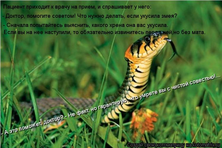 Пациент приходит к врачу на прием, и спрашивает у него: - Доктор, помогите советом! Что нужно делать,... Котоматрица: Пациент приходит к врачу на прием, и спрашивает у него: - Доктор, помогите советом! Что нужно делать, если укусила змея? - Сначала попытайтесь