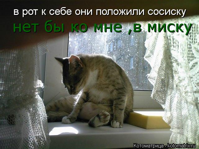 в рот к себе они положили сосиску нет бы ко мне ,в миску... Котоматрица: в рот к себе они положили сосиску нет бы ко мне ,в миску