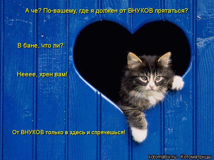 А че? По-вашему, где я должен от ВНУКОВ прятаться? В бане, что ли? Нееее, хрен вам! От ВНУКОВ только ... Котоматрица: А че? По-вашему, где я должен от ВНУКОВ прятаться? В бане, что ли? Нееее, хрен вам! От ВНУКОВ только в здесь и спрячешься!