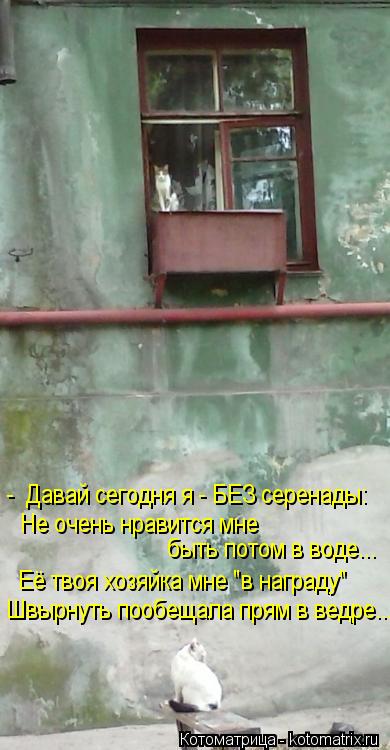 - Давай сегодня я - БЕЗ серенады: Не очень нравится мне быть потом в воде... Её твоя хозяйка мне "в... Котоматрица: - Давай сегодня я - БЕЗ серенады: Не очень нравится мне быть потом в воде... Её твоя хозяйка мне "в награду" Швырнуть пообещала прям в ведре...