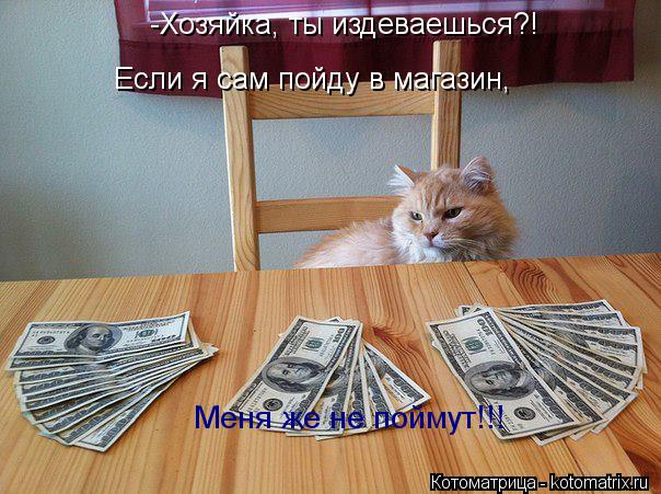 -Хозяйка, ты издеваешься?! Если я сам пойду в магазин, Меня же не поймут!!!... Котоматрица: -Хозяйка, ты издеваешься?! Если я сам пойду в магазин, Меня же не поймут!!!