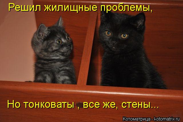 Решил жилищные проблемы, Но тонковаты , все же, стены...... Котоматрица: Решил жилищные проблемы, Но тонковаты , все же, стены...