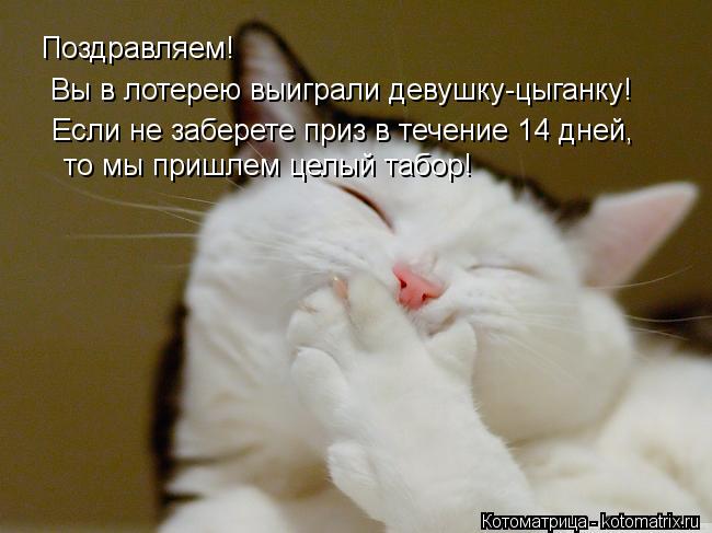 Поздравляем! Вы в лотерею выиграли девушку-цыганку! Если не заберете приз в течение 14 дней, то ... Котоматрица: Поздравляем! Вы в лотерею выиграли девушку-цыганку! Если не заберете приз в течение 14 дней, то мы пришлем целый табор!
