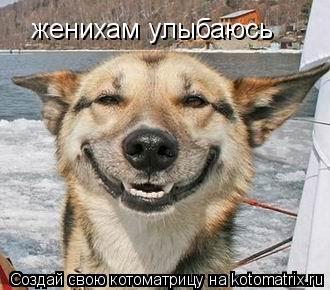 женихам улыбаюсь... Котоматрица: женихам улыбаюсь