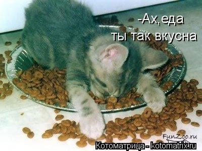 -Ах,еда ты так вкусна... Котоматрица: -Ах,еда ты так вкусна