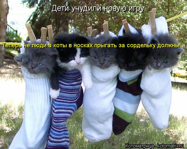 Дети учудили новую игру Теперь не люди а коты в носках прыгать за сордельку должны!... Котоматрица: Дети учудили новую игру Теперь не люди а коты в носках прыгать за сордельку должны!