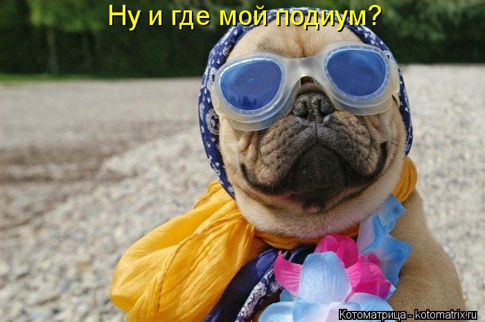 Ну и где мой подиум?... Котоматрица: Ну и где мой подиум?