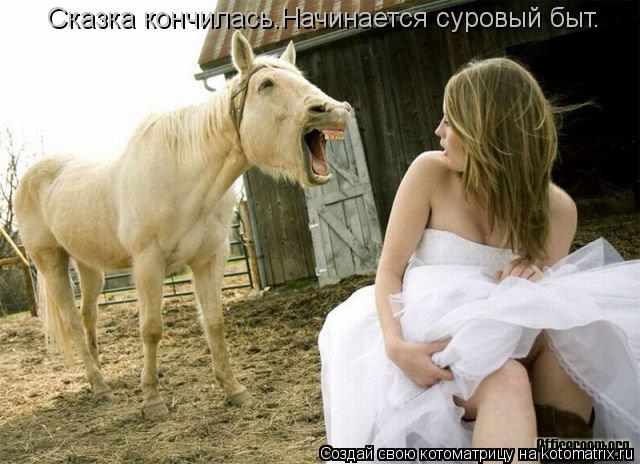 Сказка кончилась.Начинается суровый быт.... Котоматрица: Сказка кончилась.Начинается суровый быт.