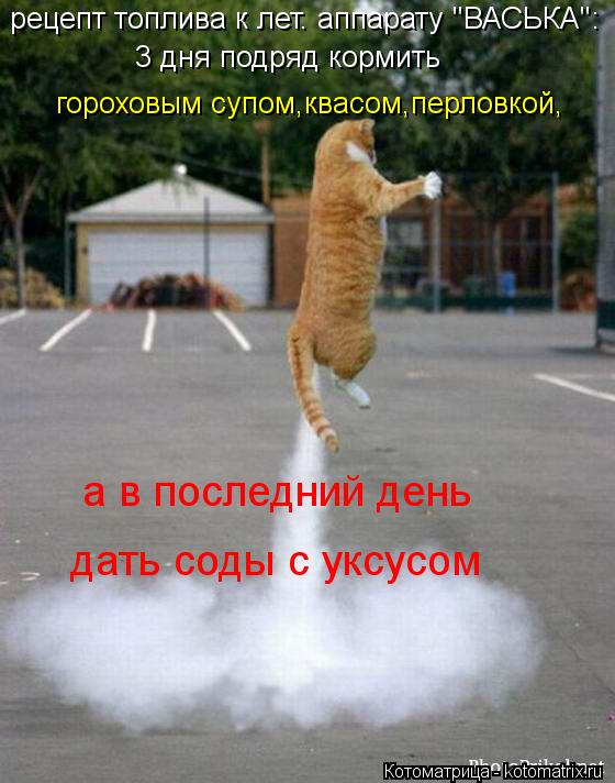 рецепт топлива к лет. аппарату "ВАСЬКА": 3 дня подряд кормить гороховым супом,квасом,перловкой, а в п... Котоматрица: рецепт топлива к лет. аппарату "ВАСЬКА": 3 дня подряд кормить гороховым супом,квасом,перловкой, а в последний день дать соды с уксусом
