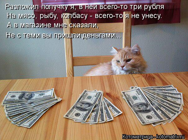 Котоматрица: Разложил получку я, в ней всего-то три рубля На мясо, рыбу, колбасу - всего-то я не унесу. А в магазине мне сказали,  Не с теми вы пришли деньгам