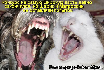 конкурс на самую широкую пасть давно закончился, но Шарик и Матроскин не оставляли попыток... Котоматрица: конкурс на самую широкую пасть давно закончился, но Шарик и Матроскин не оставляли попыток