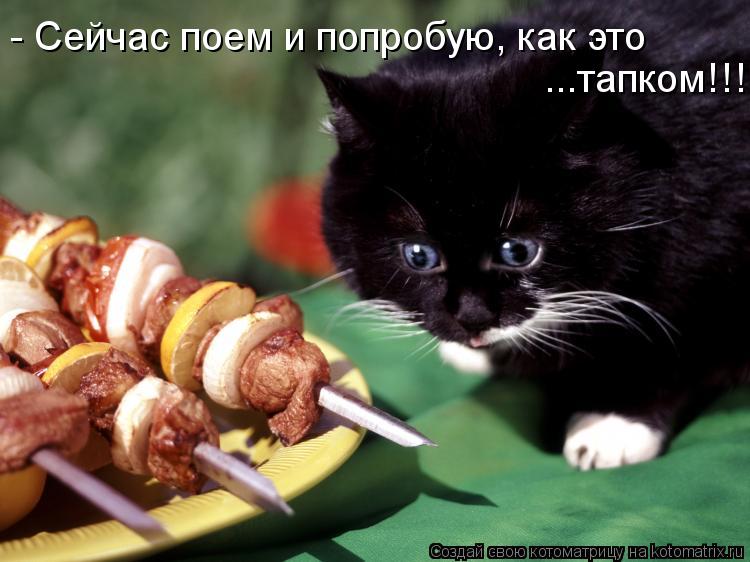 - Сейчас поем и попробую, как это ...тапком!!!... Котоматрица: - Сейчас поем и попробую, как это ...тапком!!!