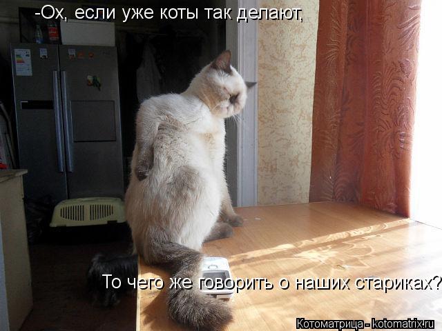 -Ох, если уже коты так делают, То чего же говорить о наших стариках?... Котоматрица: -Ох, если уже коты так делают, То чего же говорить о наших стариках?