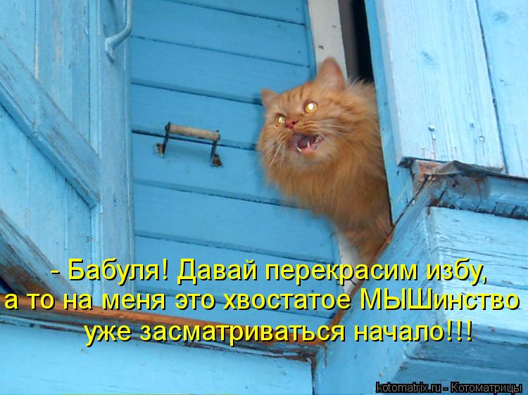 - Бабуля! Давай перекрасим избу, а то на меня это хвостатое МЫШинство уже засматриваться начало!!!... Котоматрица: - Бабуля! Давай перекрасим избу, а то на меня это хвостатое МЫШинство уже засматриваться начало!!!