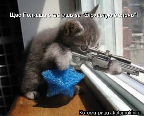 Щас Полкаша ответишь за "блохастую мелочь"!... Котоматрица: Щас Полкаша ответишь за "блохастую мелочь"!