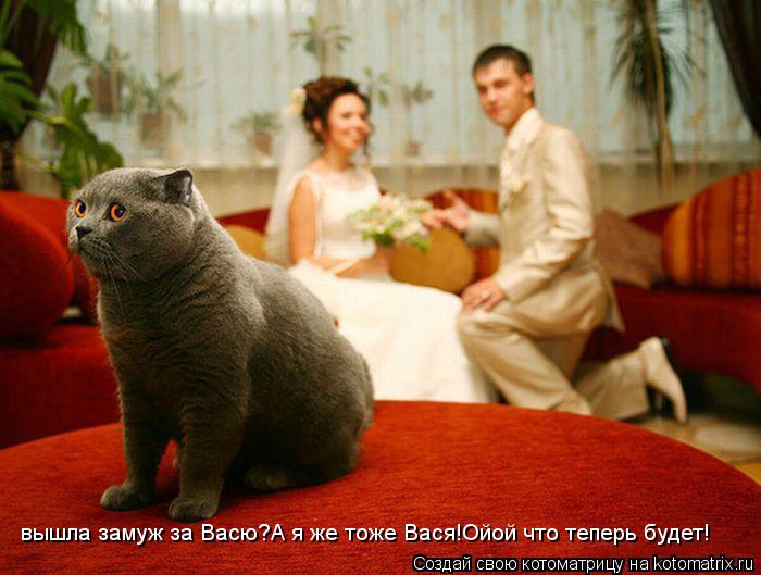 вышла замуж за Васю?А я же тоже Вася!Ойой что теперь будет!... Котоматрица: вышла замуж за Васю?А я же тоже Вася!Ойой что теперь будет!