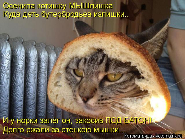 http://kotomatrix.ru/images/lolz/2013/06/10/kotomatritsa_iU.jpg