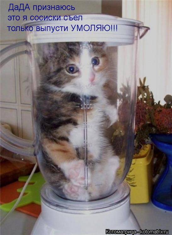ДаДА признаюсь это я сосиски съел только выпусти УМОЛЯЮ!!!... Котоматрица: ДаДА признаюсь это я сосиски съел только выпусти УМОЛЯЮ!!!
