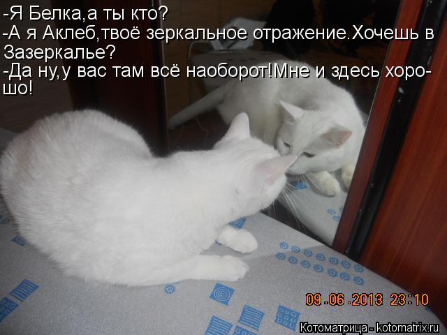 -Я Белка,а ты кто? -А я Аклеб,твоё зеркальное отражение.Хочешь в Зазеркалье? -Да ну,у вас там всё нао... Котоматрица: -Я Белка,а ты кто? -А я Аклеб,твоё зеркальное отражение.Хочешь в Зазеркалье? -Да ну,у вас там всё наоборот!Мне и здесь хоро- шо!