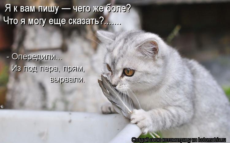 Я к вам пишу — чего же боле? Что я могу еще сказать?....... - Опередили... Из под пера, прям, вырвали... Котоматрица: Я к вам пишу — чего же боле? Что я могу еще сказать?....... - Опередили... Из под пера, прям, вырвали.