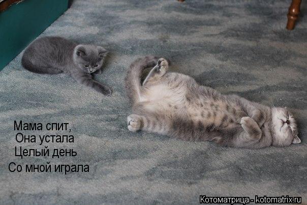 Котоматрица: Со мной играла Целый день Она устала Мама спит,