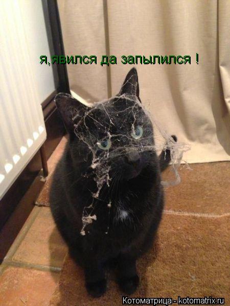 я,явился да запылился !... Котоматрица: я,явился да запылился !