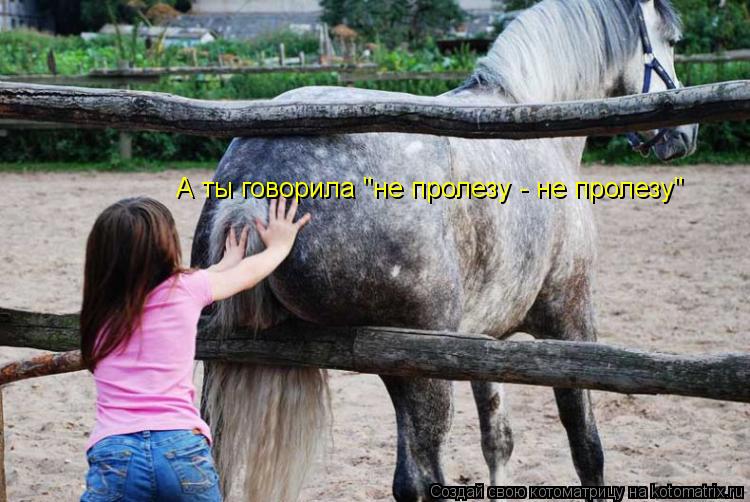 А ты говорила "не пролезу - не пролезу"... Котоматрица: А ты говорила "не пролезу - не пролезу"