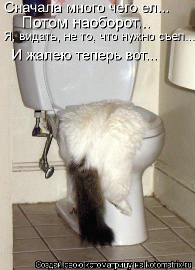 Котоматрица: Сначала много чего ел... Потом наоборот... Я, видать, не то, что нужно съел... И жалею теперь вот...