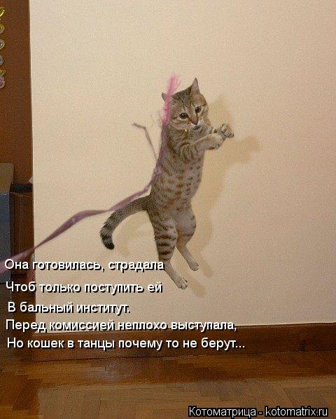 Чтоб только поступить ей В бальный институт. Перед комиссией неплохо выступала, Но кошек в танцы поч... Котоматрица: Чтоб только поступить ей В бальный институт. Перед комиссией неплохо выступала, Но кошек в танцы почему то не берут... Она готовилась, страд