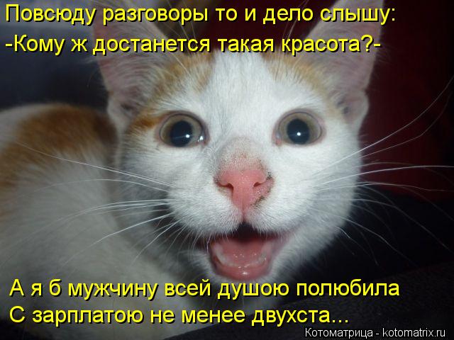 Повсюду разговоры то и дело слышу: -Кому ж достанется такая красота?- А я б мужчину всей душою полюби... Котоматрица: Повсюду разговоры то и дело слышу: -Кому ж достанется такая красота?- А я б мужчину всей душою полюбила С зарплатою не менее двухста...