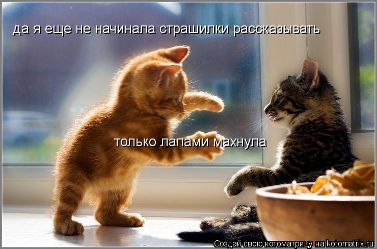 да я еще не начинала страшилки рассказывать только лапами махнула... Котоматрица: да я еще не начинала страшилки рассказывать только лапами махнула