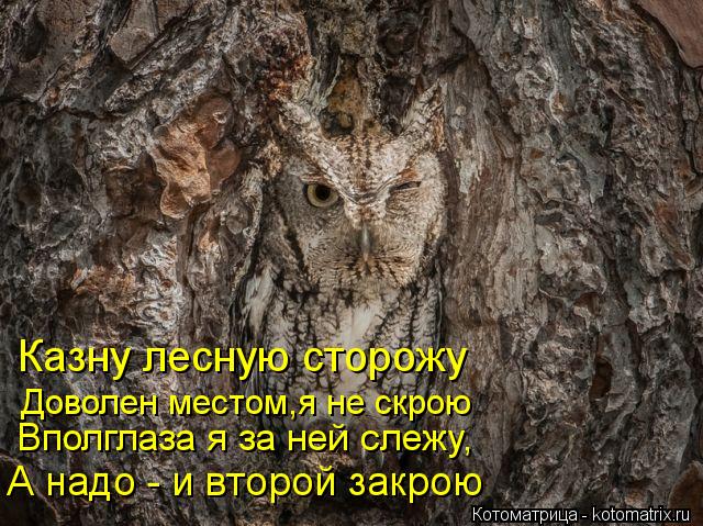 Котоматрица: Казну лесную сторожу  Доволен местом,я не скрою Вполглаза я за ней слежу, А надо - и второй закрою