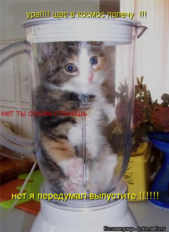 Котоматрица: ура!!!! щас в космос полечу  !!! нет ты соком станешь нет я передумал выпустите !!!!!!