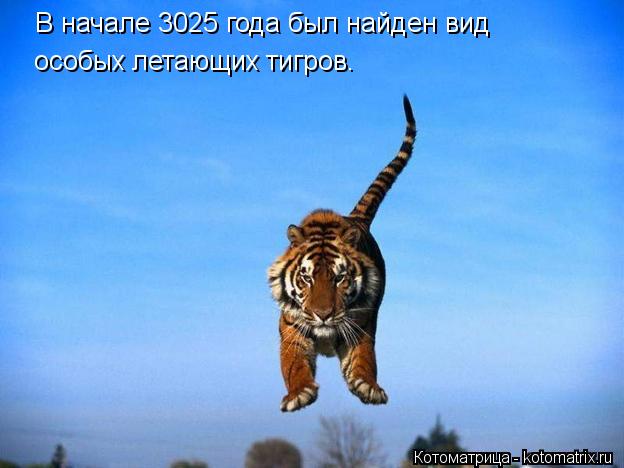 Котоматрица: В начале 3025 года был найден вид  особых летающих тигров.