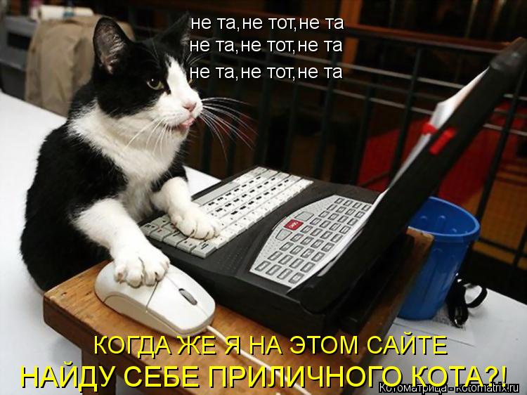 не та,не тот,не та не та,не тот,не та не та,не тот,не та КОГДА ЖЕ Я НА ЭТОМ САЙТЕ НАЙДУ СЕБЕ ПРИЛИЧНО... Котоматрица: не та,не тот,не та не та,не тот,не та не та,не тот,не та КОГДА ЖЕ Я НА ЭТОМ САЙТЕ НАЙДУ СЕБЕ ПРИЛИЧНОГО КОТА?!