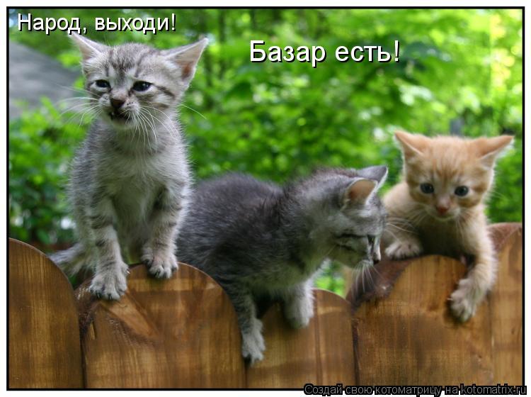 Народ, выходи! Базар есть!... Котоматрица: Народ, выходи! Базар есть!