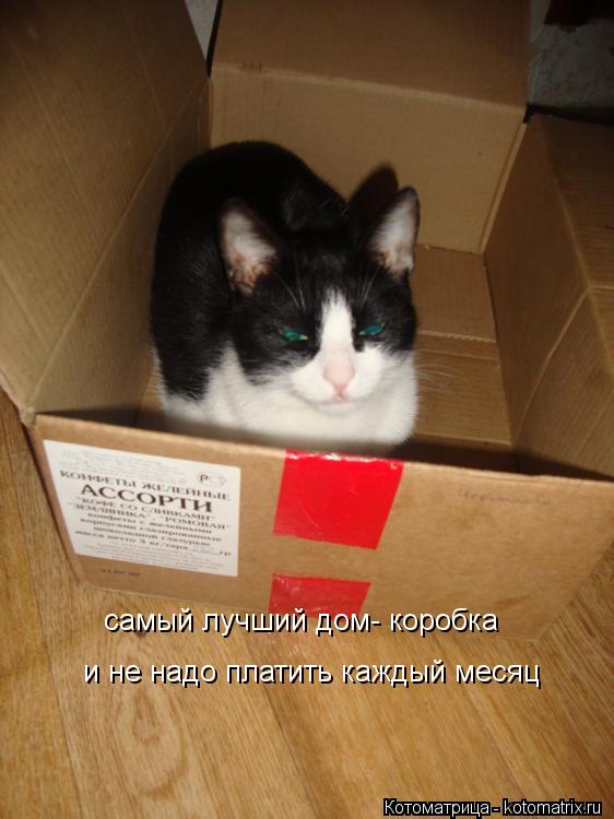 самый лучший дом- коробка и не надо платить каждый месяц... Котоматрица: самый лучший дом- коробка и не надо платить каждый месяц