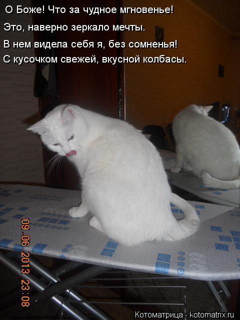 О Боже! Что за чудное мгновенье! Это, наверно зеркало мечты. В нем видела себя я, без сомненья! С кус... Котоматрица: О Боже! Что за чудное мгновенье! Это, наверно зеркало мечты. В нем видела себя я, без сомненья! С кусочком свежей, вкусной колбасы.