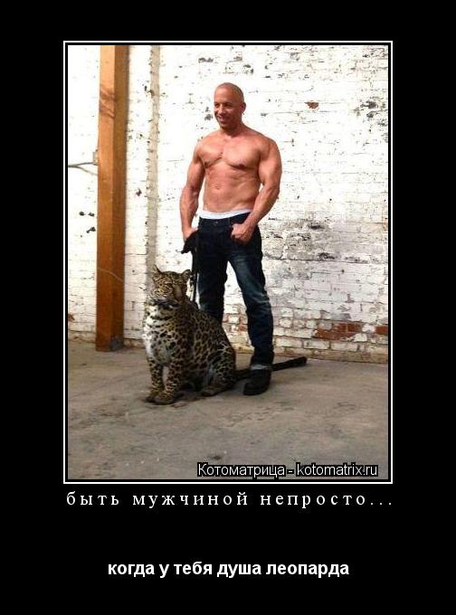 быть мужчиной непросто... когда у тебя душа леопарда... Котоматрица: быть мужчиной непросто... когда у тебя душа леопарда