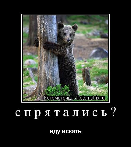 Котоматрица: спрятались? иду искать