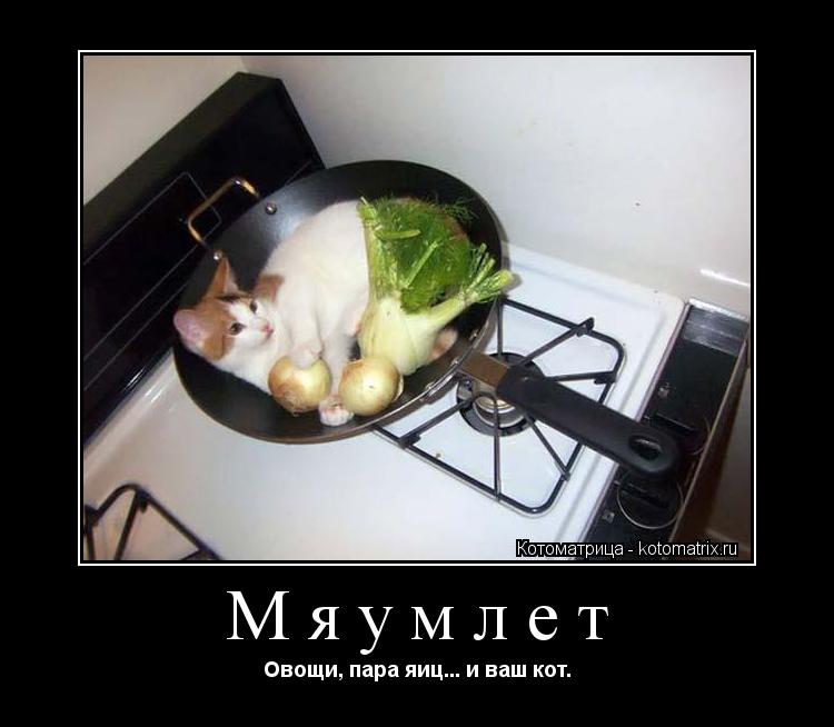 Мяумлет Овощи, пара яиц... и ваш кот.... Котоматрица: Мяумлет Овощи, пара яиц... и ваш кот.
