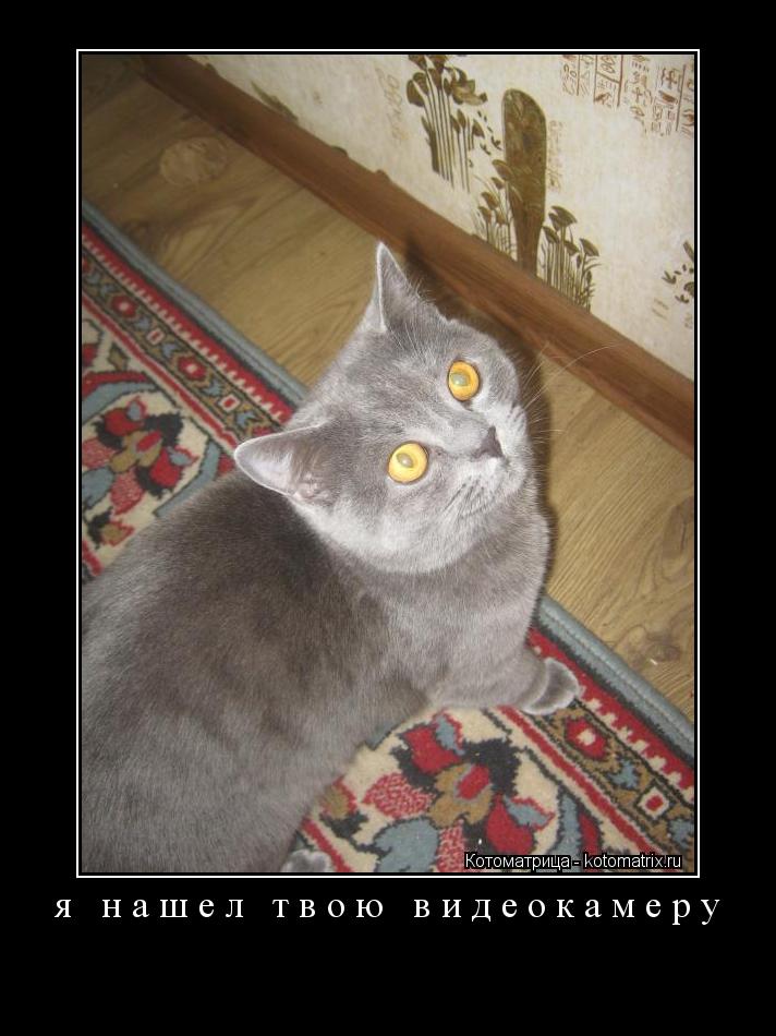 Котоматрица: я нашел твою видеокамеру 