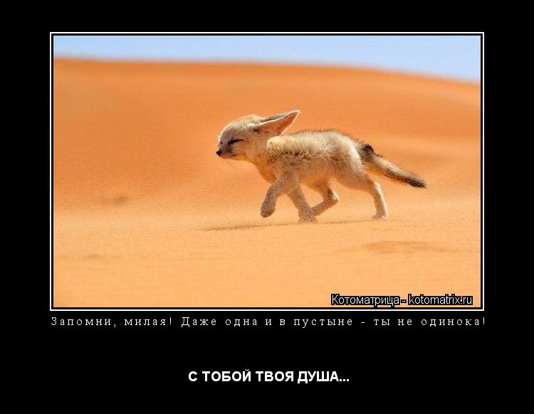 Запомни, милая! Даже одна и в пустыне - ты не одинока! С ТОБОЙ ТВОЯ ДУША...... Котоматрица: Запомни, милая! Даже одна и в пустыне - ты не одинока! С ТОБОЙ ТВОЯ ДУША...