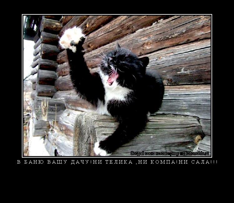 В БАНЮ ВАШУ ДАЧУ!НИ ТЕЛИКА ,НИ КОМПА!НИ САЛА!!! ... Котоматрица: В БАНЮ ВАШУ ДАЧУ!НИ ТЕЛИКА ,НИ КОМПА!НИ САЛА!!!