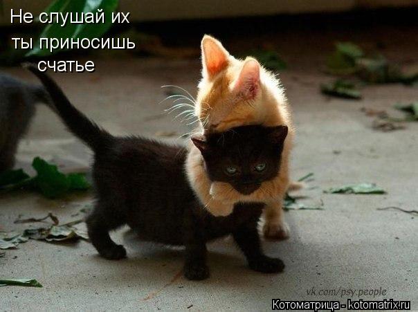 Не слушай их ты приносишь счатье... Котоматрица: Не слушай их ты приносишь счатье
