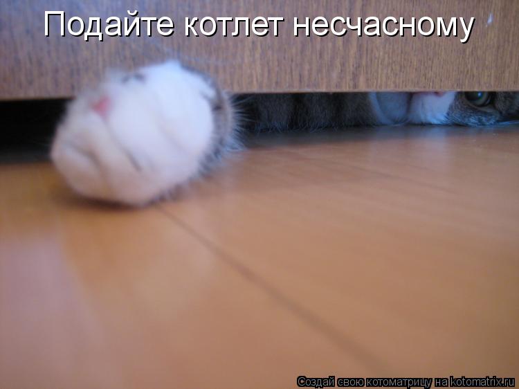 Котоматрица: Подайте котлет несчасному
